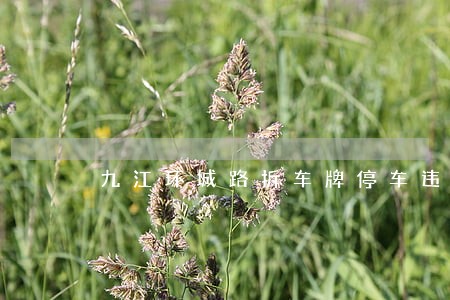 九江环城路拆车牌停车违法吗 九江环城路拆车牌停车违法吗