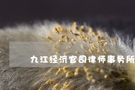 九江经济官司律师事务所咨询电话