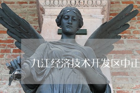 九江经济技术开发区中正法律咨询服务所 九江经济技术开发区中正法律咨询服务所