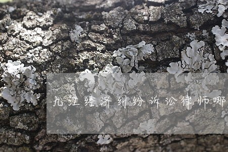 九江经济纠纷诉讼律师哪个专业 九江经济纠纷诉讼律师哪个专业