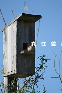 九江综合法律咨询热线 九江综合法律咨询热线