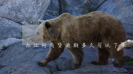 九江网商贷逾期多久可以下来 九江网商贷逾期多久可以下来