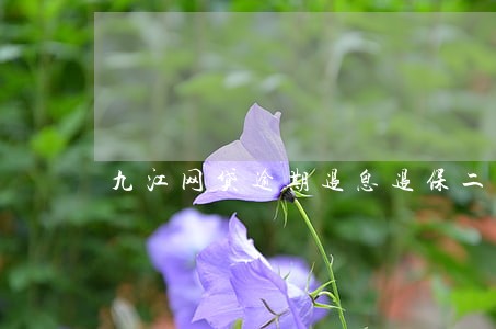 九江网贷逾期退息退保二次分期 九江网贷逾期退息退保二次分期