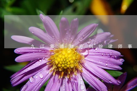九江靠谱财产纠纷律师事务所 九江靠谱财产纠纷律师事务所