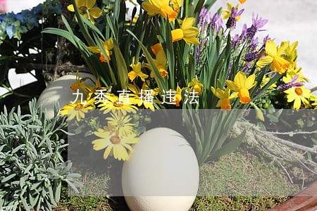九秀直播违法 九秀直播违法