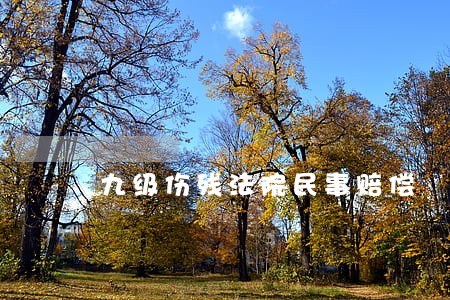 九级伤残法院民事赔偿 九级伤残法院民事赔偿