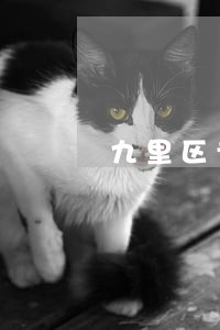 九里区专业夫妻债务纠纷律师 九里区专业夫妻债务纠纷律师