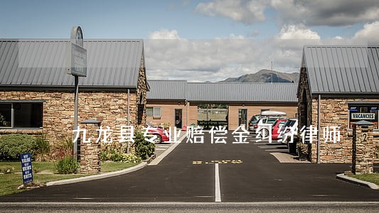 九龙县专业赔偿金纠纷律师 九龙县专业赔偿金纠纷律师