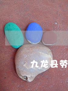 九龙县劳动纠纷律师 九龙县劳动纠纷律师