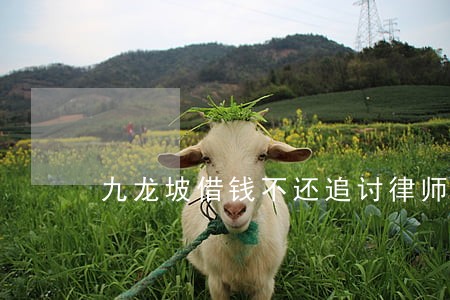 九龙坡借钱不还追讨律师哪个好 九龙坡借钱不还追讨律师哪个好