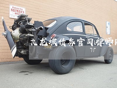 九龙坡债务官司律师网站 九龙坡债务官司律师网站