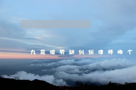 九龙坡劳动纠纷律师哪个好 九龙坡劳动纠纷律师哪个好