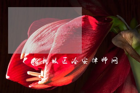 九龙坡区冷安律师网