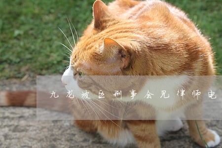 九龙坡区刑事会见律师电话 九龙坡区刑事会见律师电话