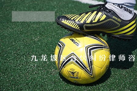 九龙坡区合伙纠纷律师咨询电话 九龙坡区合伙纠纷律师咨询电话