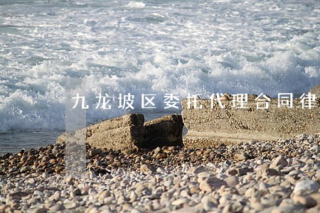 九龙坡区委托代理合同律师
