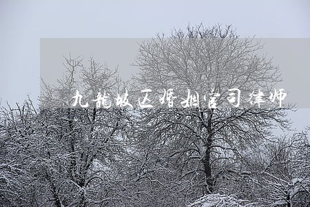 九龙坡区婚姻官司律师 九龙坡区婚姻官司律师