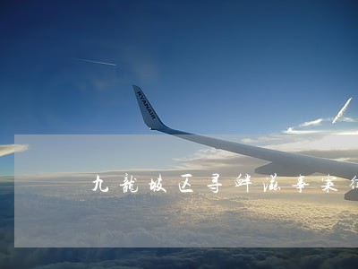 九龙坡区寻衅滋事案律师收费标准