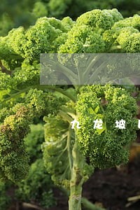 九龙坡区法院起诉离婚代理律师 九龙坡区法院起诉离婚代理律师