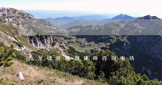 九龙坡区融资律师咨询电话 九龙坡区融资律师咨询电话