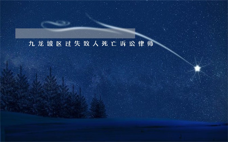 九龙坡区过失致人死亡诉讼律师 九龙坡区过失致人死亡诉讼律师