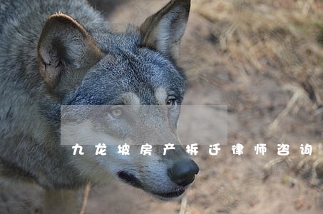 九龙坡房产拆迁律师咨询电话 九龙坡房产拆迁律师咨询电话