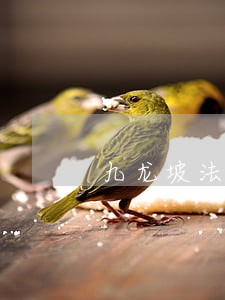 九龙坡法律援助 九龙坡法律援助