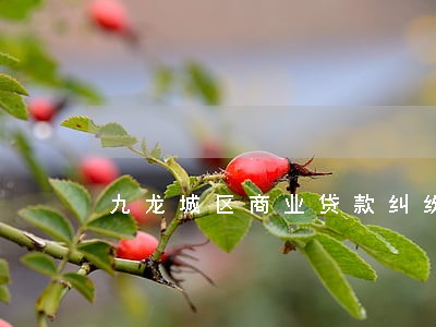 九龙城区商业贷款纠纷律师 九龙城区商业贷款纠纷律师
