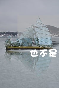 也不是我国宪法的基本原则的选项是
