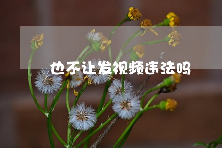 也不让发视频违法吗 也不让发视频违法吗
