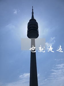 也就是违法的挂靠 也就是违法的挂靠