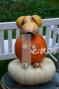 也执行拍卖了