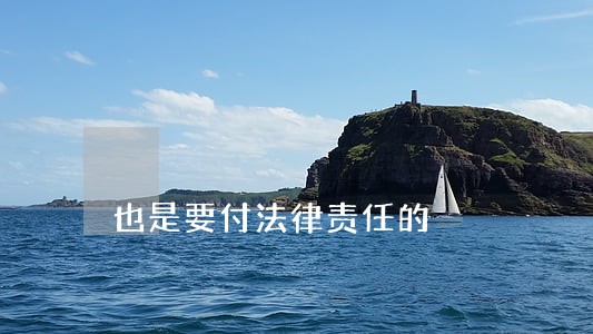 也是要付法律责任的 也是要付法律责任的