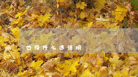 也没什么违法呀 也没什么违法呀