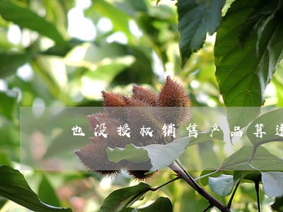 也没授权销售产品算违法吗 也没授权销售产品算违法吗