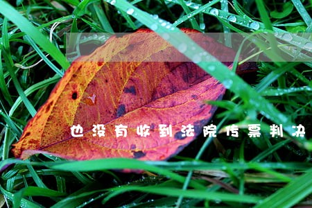 也没有收到法院传票判决书 也没有收到法院传票判决书