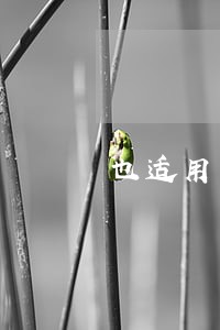 也适用于法制主题手抄报 也适用于法制主题手抄报