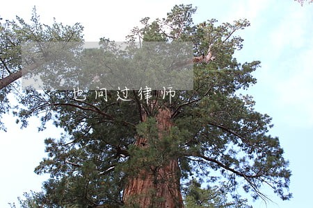 也问过律师 也问过律师