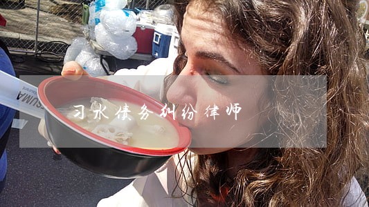 习水债务纠纷律师 习水债务纠纷律师