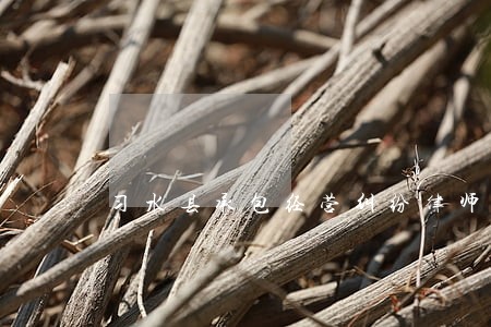 习水县承包经营纠纷律师 习水县承包经营纠纷律师