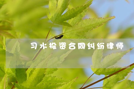 习水投资合同纠纷律师 习水投资合同纠纷律师