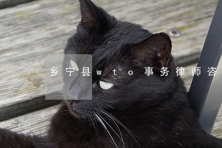 乡宁县wto事务律师咨询电话 乡宁县wto事务律师咨询电话