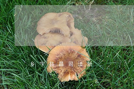 乡宁县昌司法所 乡宁县昌司法所