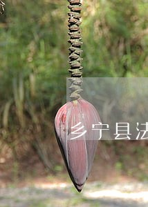 乡宁县法律顾问律师在线免费咨询 乡宁县法律顾问律师在线免费咨询