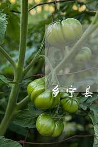 乡宁县消费权益在线律师咨询 乡宁县消费权益在线律师咨询