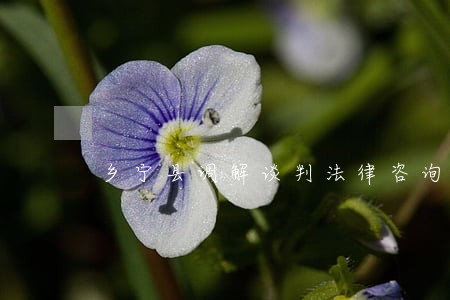 乡宁县调解谈判法律咨询热线 乡宁县调解谈判法律咨询热线