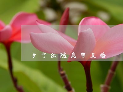 乡宁法院庭审直播