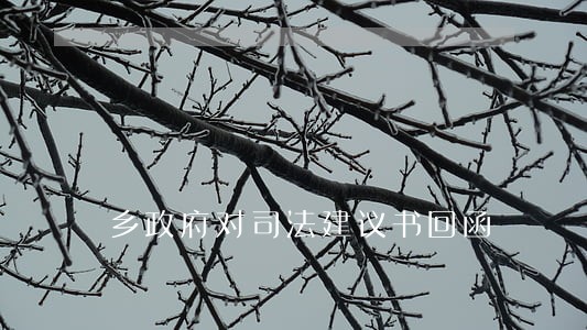 乡政府对司法建议书回函 乡政府对司法建议书回函