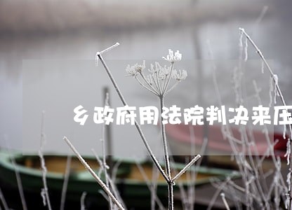 乡政府用法院判决来压服我怎么办 乡政府用法院判决来压服我怎么办