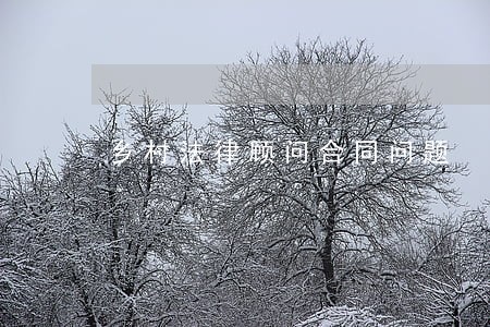 乡村法律顾问合同问题 乡村法律顾问合同问题